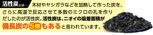 くつ用活性炭パワー・活性炭